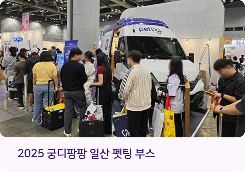 펫팅 건강검진 이벤트 이미지 1