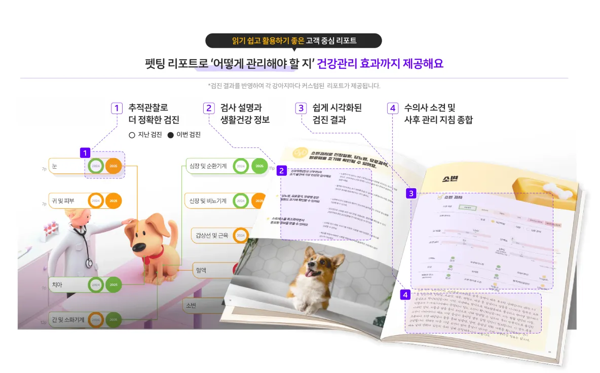 펫팅 건강검진 리포트 예시 화면